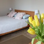 Pokoje&apartamenty Minus - Władysławowo