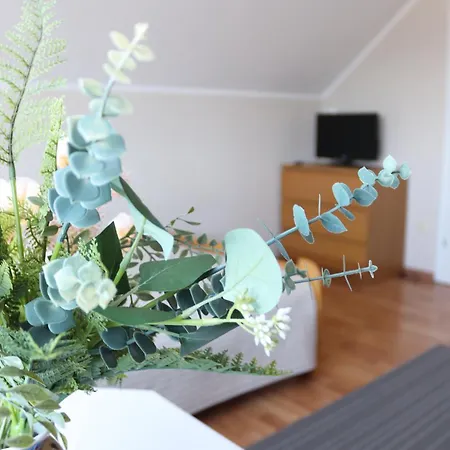 Pokoje&apartamenty Minus -