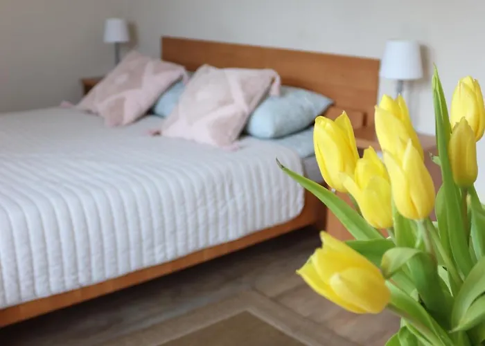 Pokoje&apartamenty Minus - Władysławowo