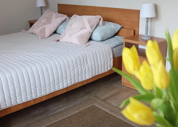 홈스테이 Pokoje&apartamenty Minus -