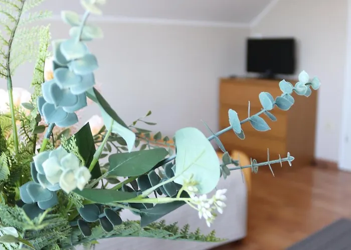 Pokoje&apartamenty Minus -